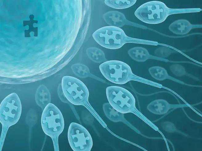 无锡代孕哪家安全,无锡仁济试管囊胚培养是怎么回事儿？