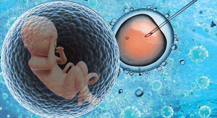 吉林3代试管供卵_【试管冻胚移植过程】试管冻胚移植流程时间安排明细！