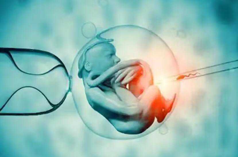 哪个国家试管婴儿可以选择性别_第三代试管选性别会浪费胚胎吗_67992_他们都实